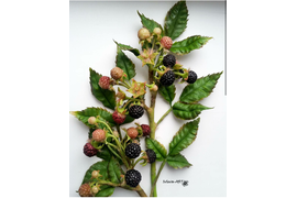 Работа Ивлевой Елены. Использован молд "Малина-ежевика"