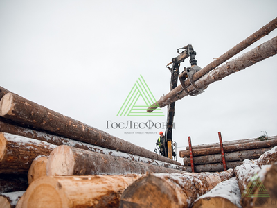 Бревна сосновые для распиловки и строгания