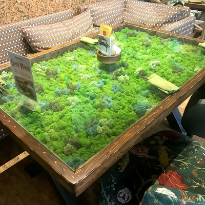 стол витрина из стабилизированного  мха