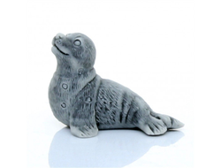 Нерпа маленькая.ОПТ