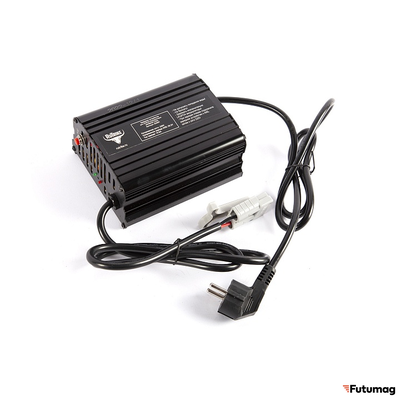 Зарядное устройство интеллектуальное для LiFePo4 аккумуляторов 24V60AH (10А)