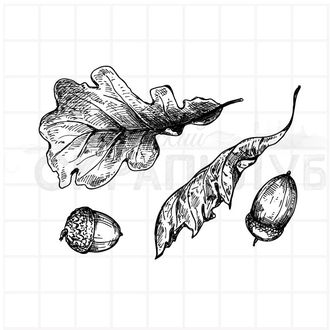 Штамп листья дуба и желуди