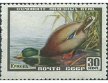 1911. Фауна СССР. Кряква