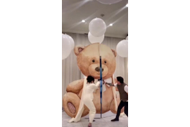 ФОТОЗОНА В АРЕНДУ