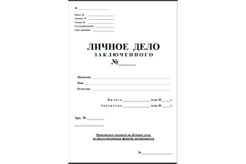 ПАПКА ДЕЛО (по заказу)