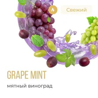 ELEMENT (ЗЕМЛЯ) 25 г. - GRAPE MINT (МЯТНЫЙ ВИНОГРАД)