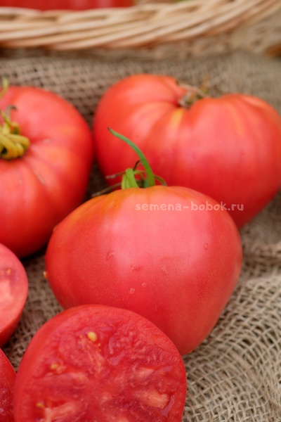 Томат Минусинский Низкий, 10 шт