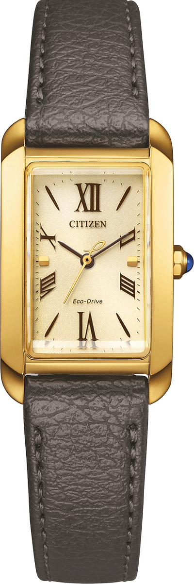 Наручные часы Citizen EW5622-09P