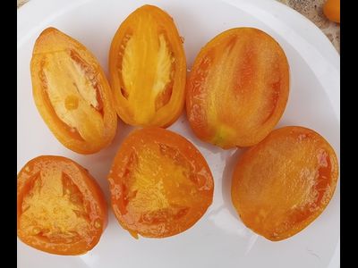 Томат Золотое сердце