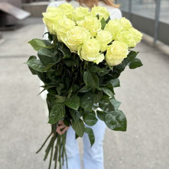 15 белых голландских роз 80 см