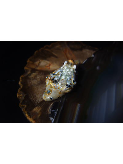 Мини-брошь с жемчугом и крылатой лягушкой &quot;Царская бабочка, Дивная Зоренька&quot;