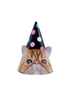 Колпак Котики фотографичные 6шт/G