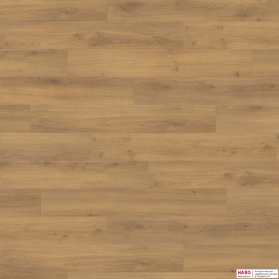 Ламинат Haro Tritty 100 Дуб Эмилия Медовый 538692 32 класс толщина 8 мм с фаской 1.98 м2