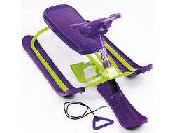 Продажа снегокатов Team Sport (Purple/Lime) в Иркутске по низким ценам