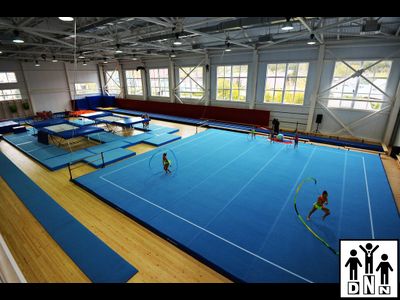 Ковёр для художественной / спортивной гимнастики (ДАЛЬВАНИЧЕСКИЙ) 14*14*0.030 м