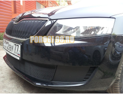 Защита радиатора Skoda Octavia А7 Active 2013-2017 black