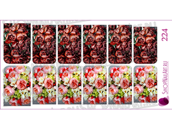 Слайдер-дизайн 224 - Пионы