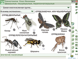 Наглядная биология. 7 класс. Животные