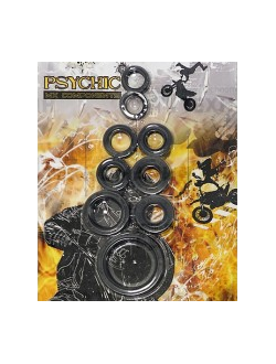 Сальники двигателя комплект Psychic MX-09210 для мотоциклов Yamaha WR400F (1998-2000), YZ400 (1998-1999), WR426 (2001-2002), YZ426F (2000-2002), YZ450F (2003-2013)