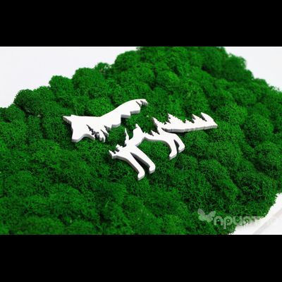 ЖИВАЯ ЭКО-КАРТИНА 1036