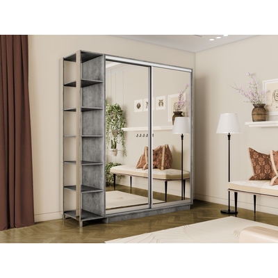 Шкаф-купе Дуо-Экспенс-2 1200*600*2400