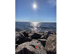 Духи НОТА: УСТА САХАРНЫЕ, 2.5 мл