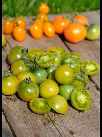 Томат Гном Beautiful Ones (Красотки), 10 шт