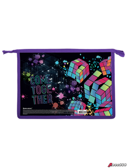 Папка для труда на молнии BRAUBERG А4, 2 отделения, органайзер, «Come together». 270977