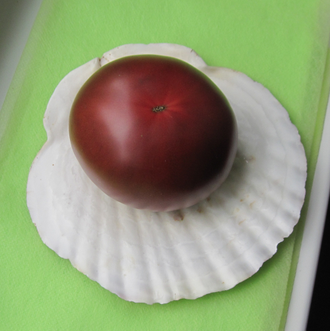 Семена томата Черный Крым