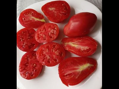 Томат Клубничный (Fragolone), Италия