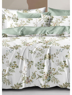 Постельное белье Cleo семейное сатин 145х215х2 220х240х1 50х70х2 70х70х2 41/747-SL