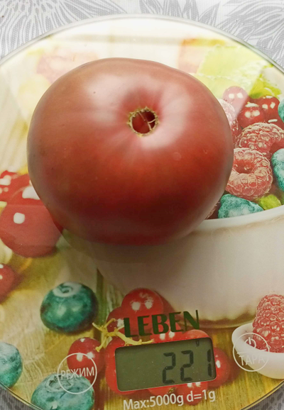 Томат Париж (Paris)