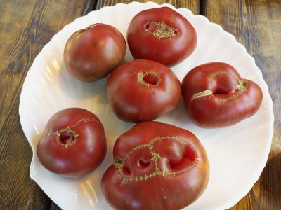 Томат Кофе с молоком