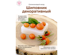 "Шиповник декоративный" Силиконовый молд