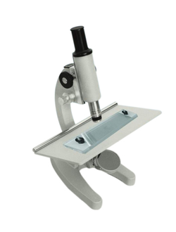 Стейк М — монокулярный трихинеллоскоп