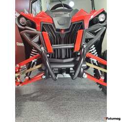 Электробагги SCANMOTO COBRA