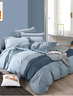 Постельное белье TANGO комплект сатин двуспальный 180x210x1 220x245x1 50x70x2 TS02-X238-50