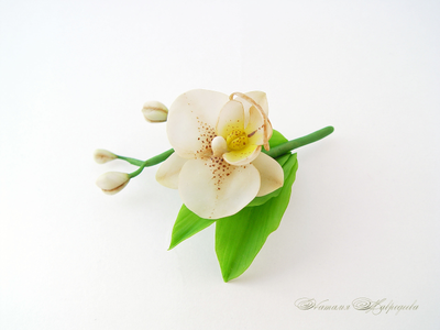 Брошка с кремовой орхидеей.