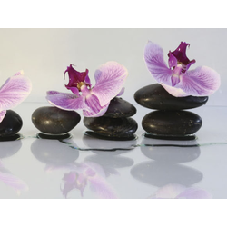 ШМП030 Панель SP035. Размер: 2800х610х6.