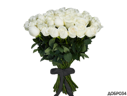 Букет из 20 белых роз