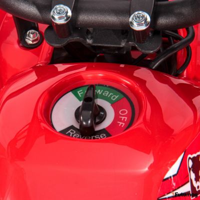 Электроквадроцикл WHITE SIBERIA SNEG MINI 1000W Красный