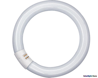 Osram С Circular L 22w 840 G10q