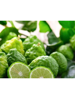 Kaffir Lime leaf EO (Каффир лайм лист 100% эфирное масло) Тайланд