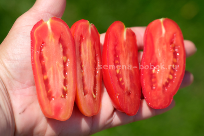 Томат Фляшен Pozano (Фляшен Позано), 10 шт