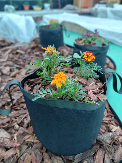 Кашпо 21 литр усиленное. Умный тканевый горошок Гроубэг