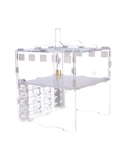 Формикарий 4ants Crystal L pro + колония Messor Structor