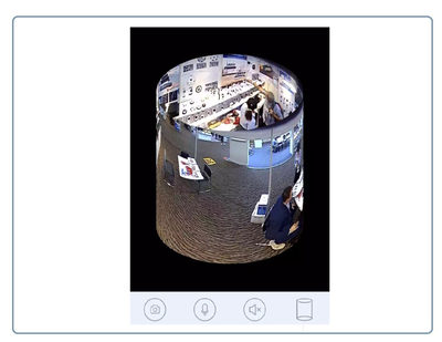 Потолочная- настенная WiFi видеокамера панорамная с DVR (fish_ufo_v380_B),  HD 960P