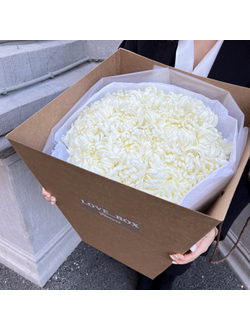 Транспортировочный бокс