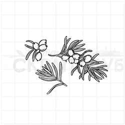 Штамп облепиха