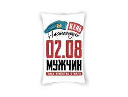 Подушка вертикальная #17 ВДВ